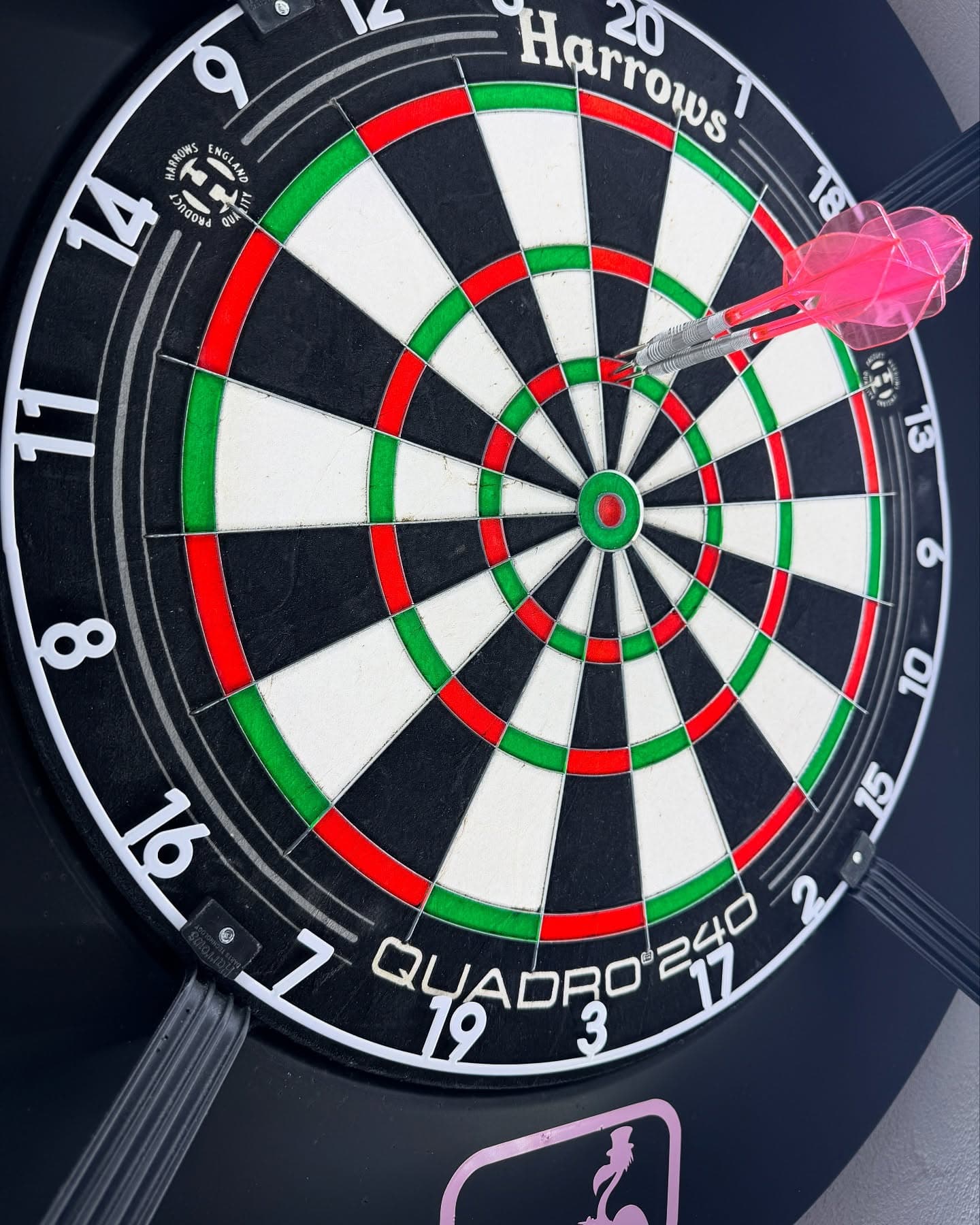 Neue Herausforderungen 🎯💯🦩

#Flamingogo #flamingo #go #dart #pdc #180sx #spickern #bull #sieg #180 #lovethedarts #flamingos #happy #spieltag #spickern #steeldart #pink #side #of #life #gameon #boards #double #triple #win #quadro